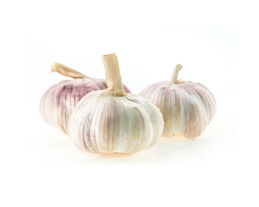 ankittraders Template